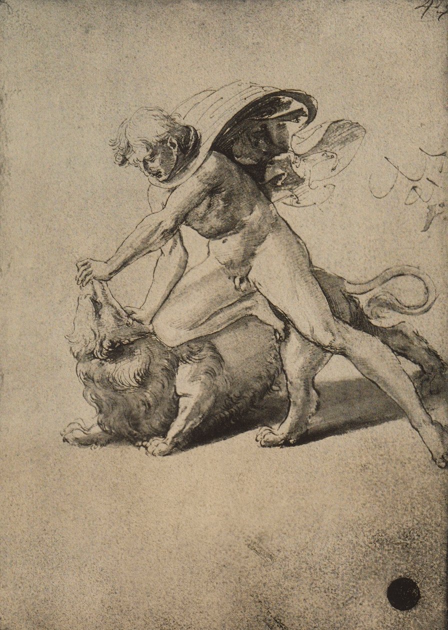 Samson kjemper mot løven; tegning av Raphael. Gallerie dellAccademia, Venezia av Raffaello Sanzio Raphael