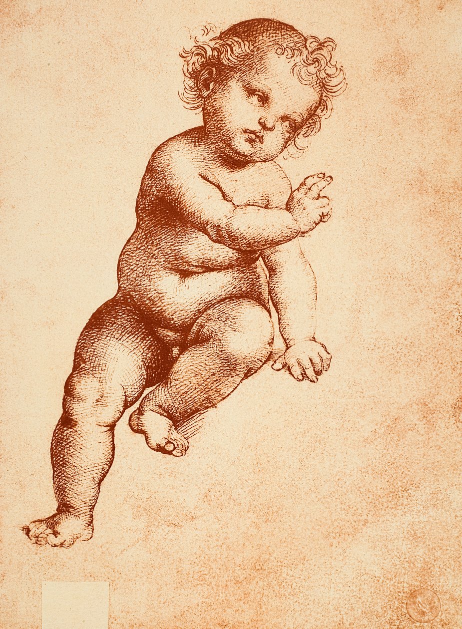 Study for a Baby Jesus, tegning av Raphael. Gallerie dellAccademia, Venezia av Raffaello Sanzio Raphael