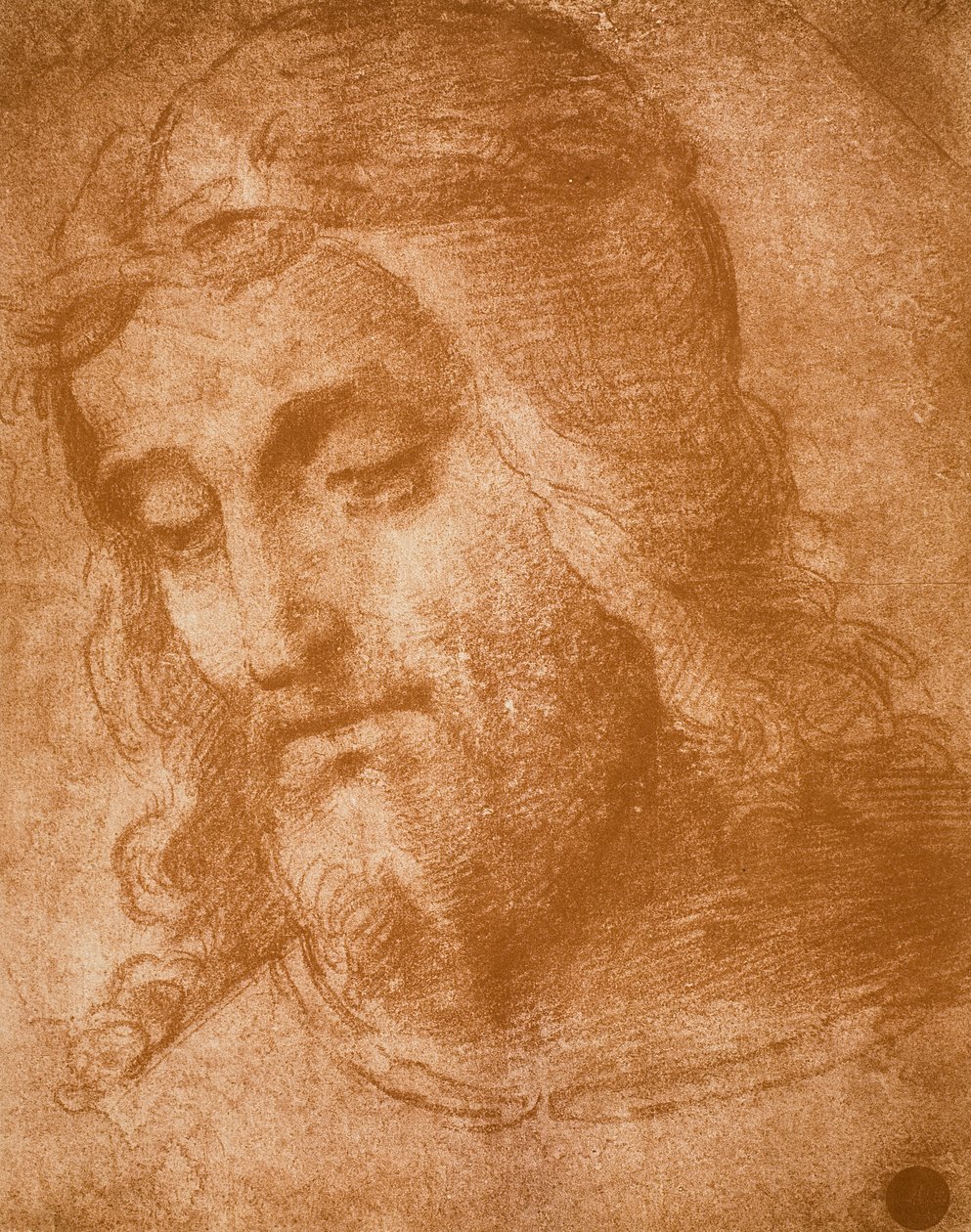 Studer for Forløserens ansikt, tegning av Raphael. Gallerie dellAccademia, Venezia av Raffaello Sanzio Raphael