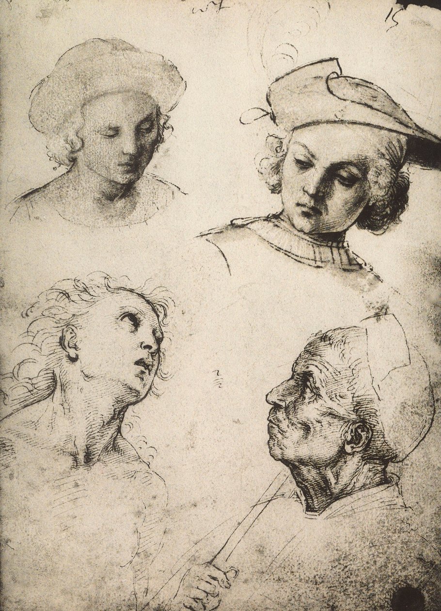 Studie av fire mannlige ansikter; tegning av Raphael. Gallerie dellAccademia, Venezia av Raffaello Sanzio Raphael