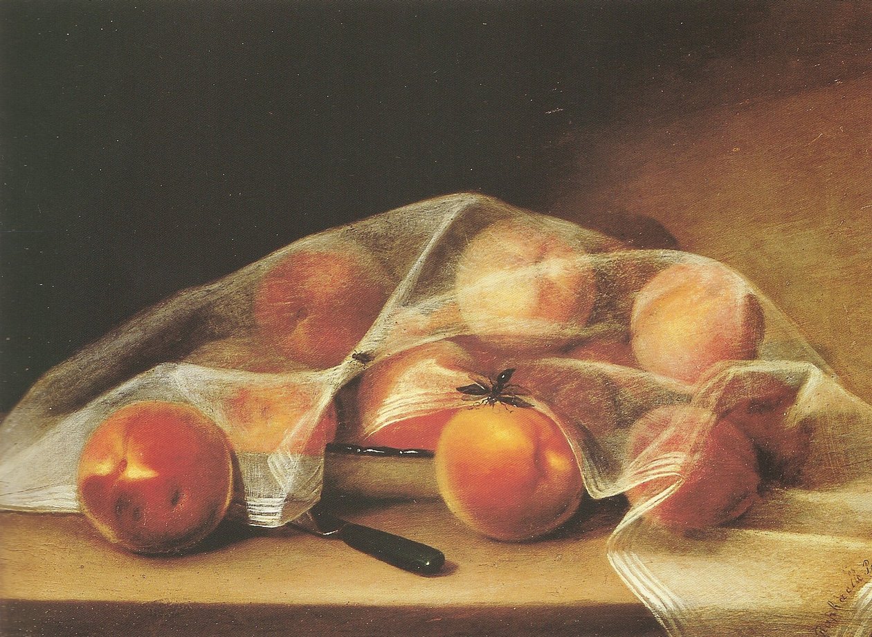  av Raphaelle Peale