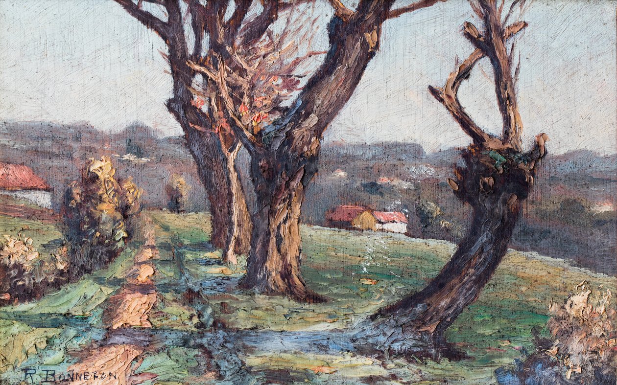 Uttalelse av Raymond Bonnefon