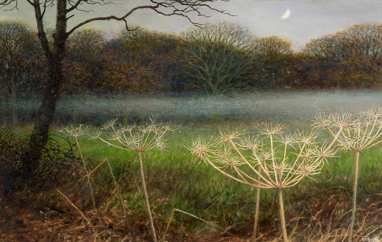  av Raymond Booth