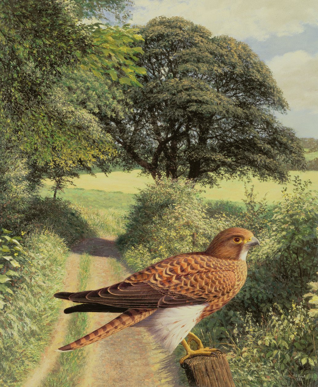  av Raymond Booth