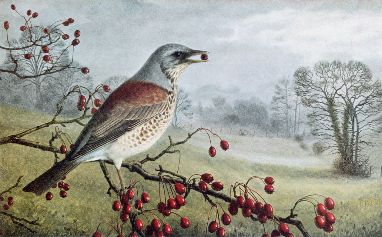  av Raymond Booth
