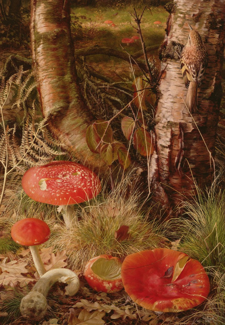  av Raymond Booth