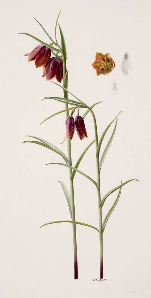  av Raymond Booth