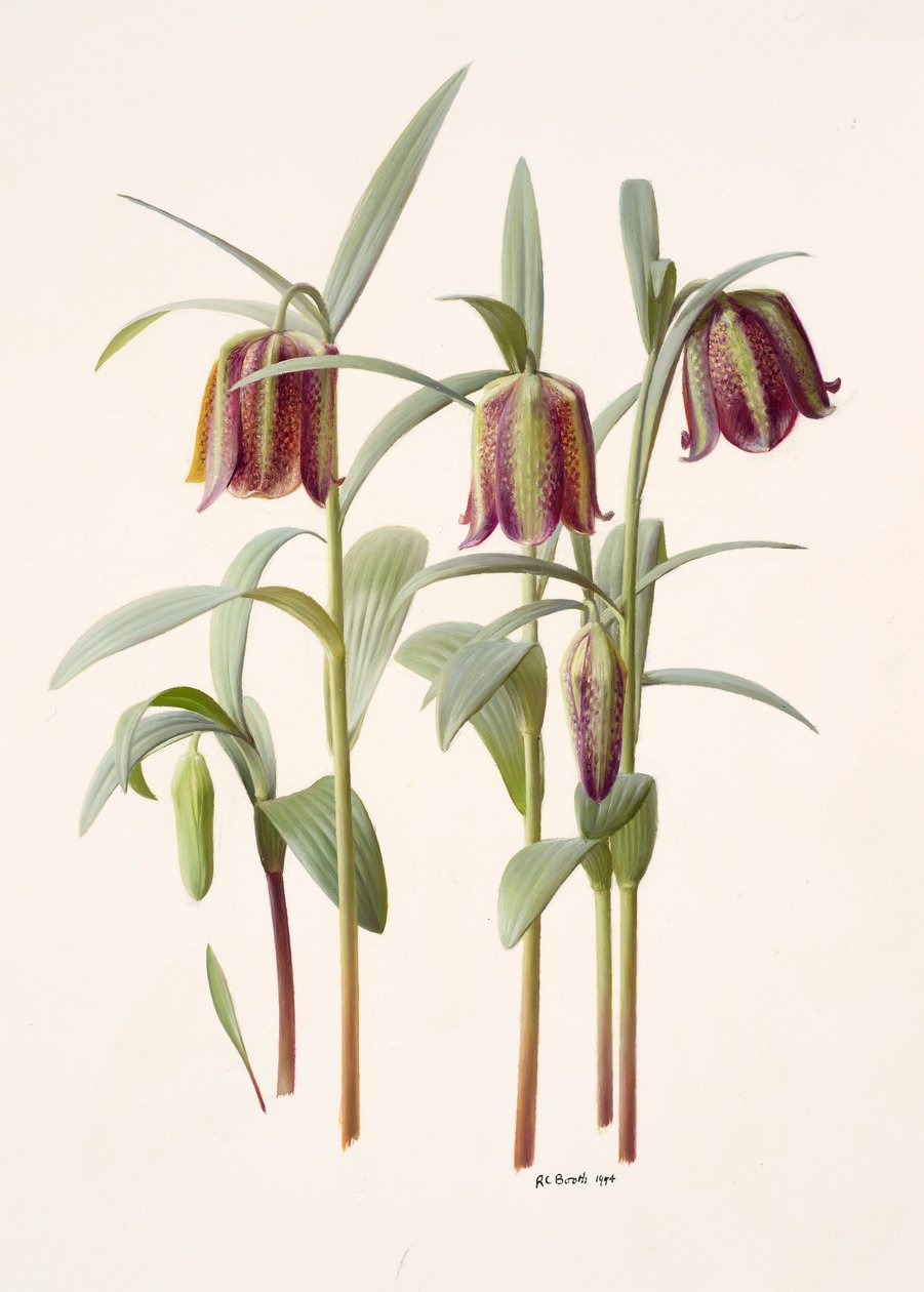  av Raymond Booth