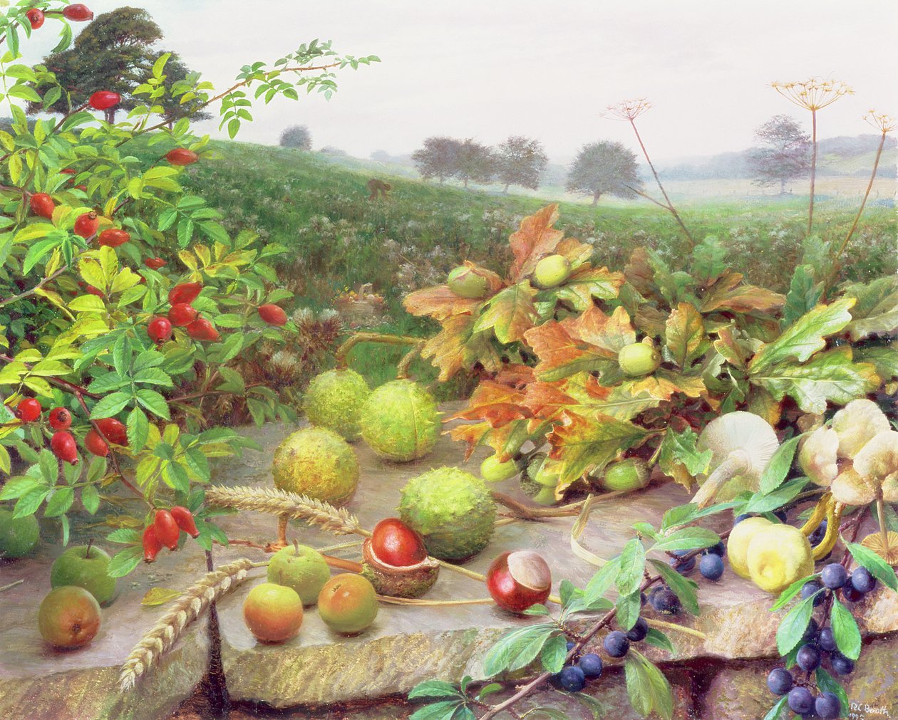  av Raymond Booth