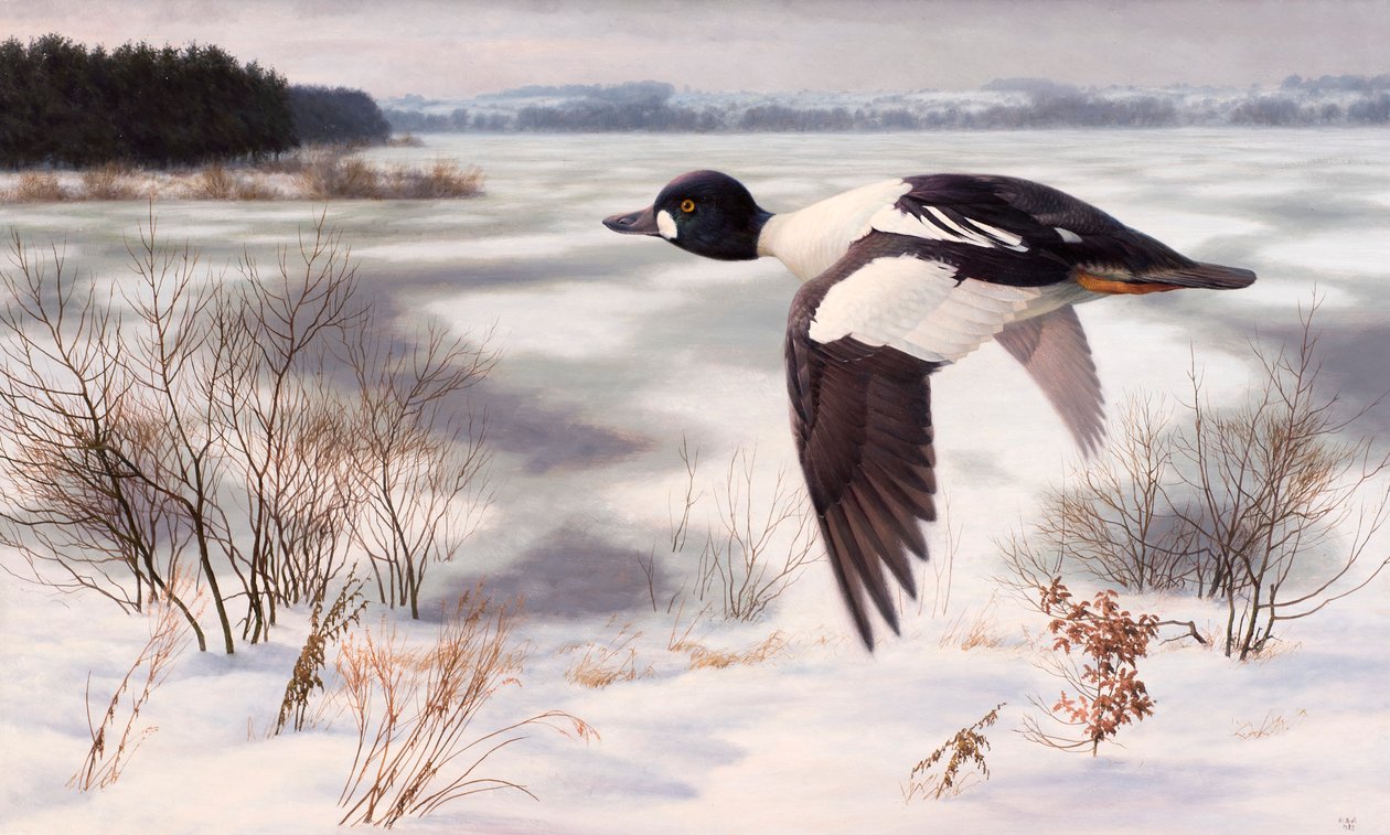  av Raymond Booth