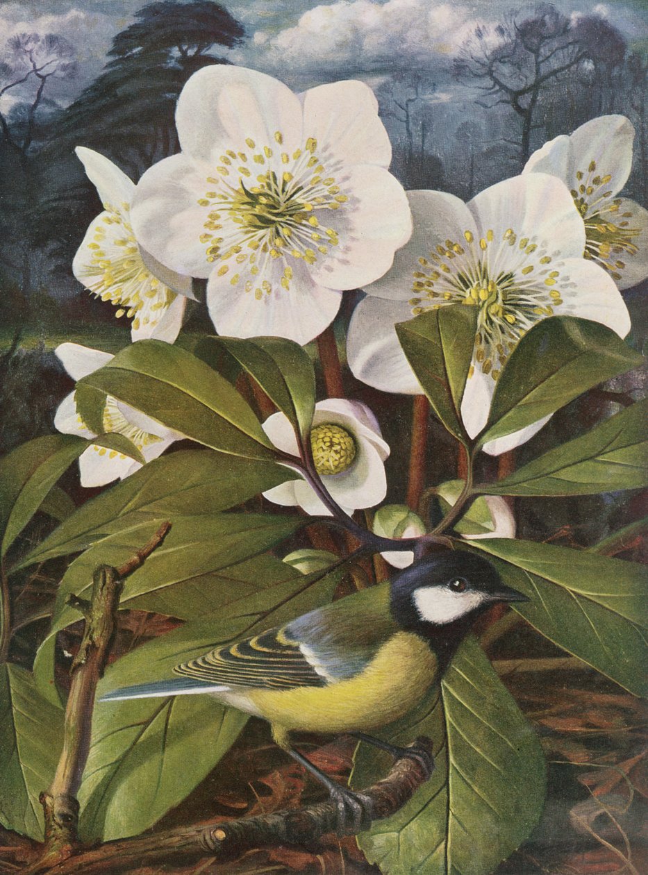  av Raymond Booth