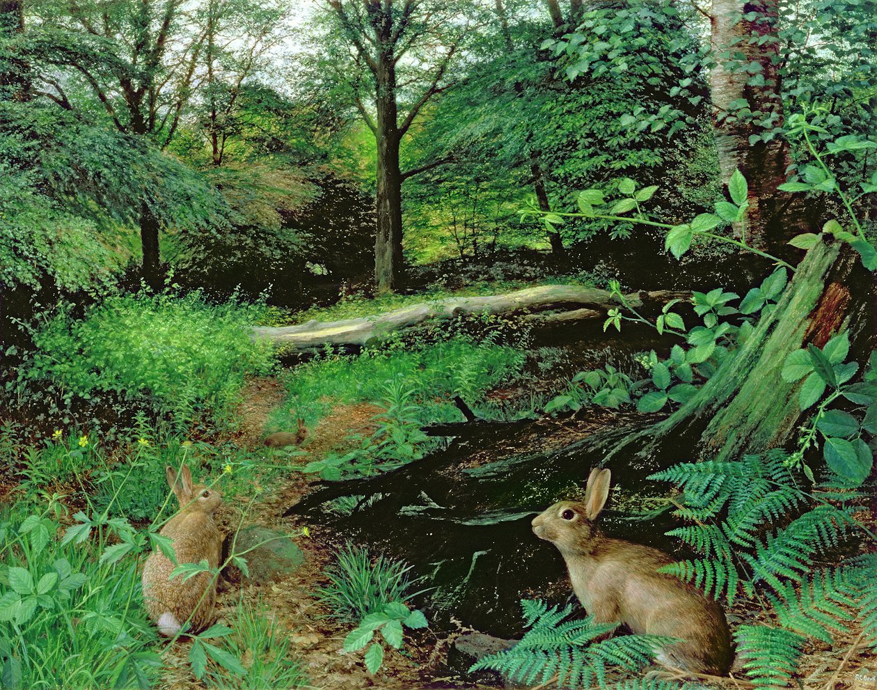  av Raymond Booth