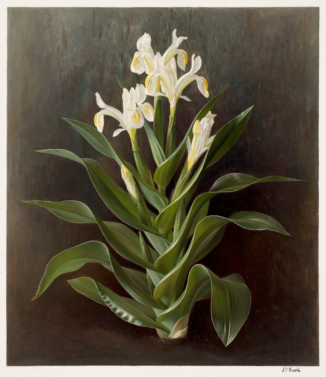  av Raymond Booth