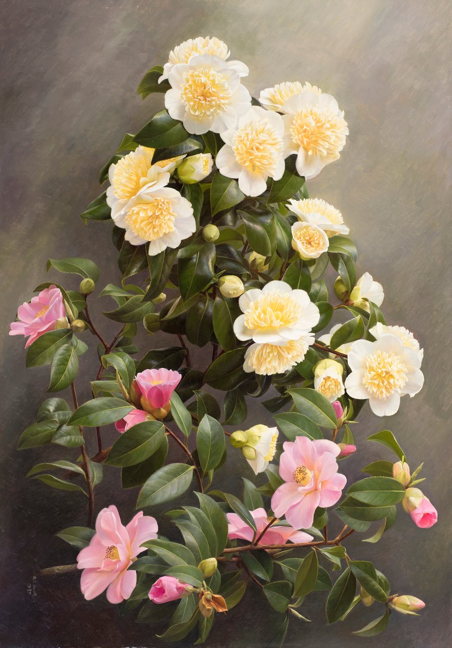  av Raymond Booth
