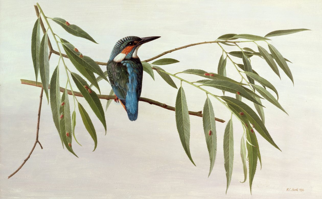  av Raymond Booth
