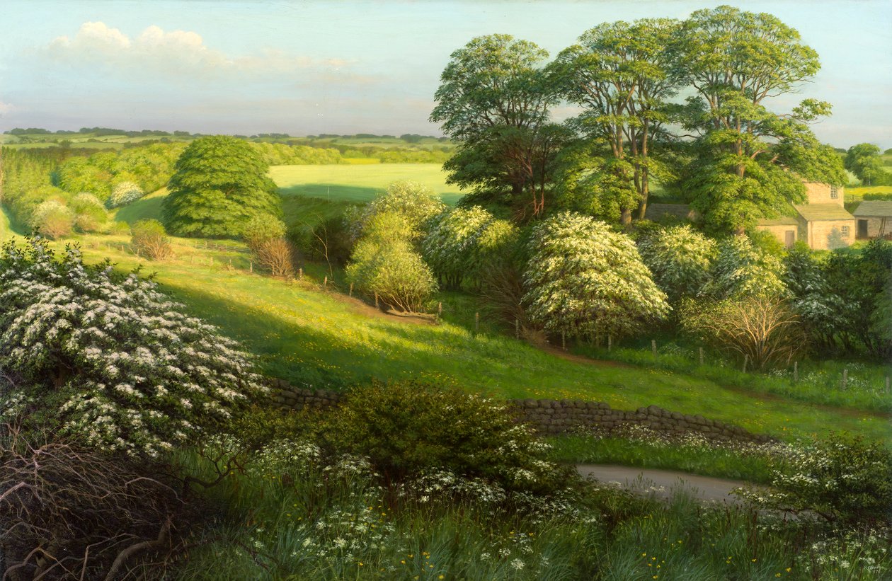  av Raymond Booth