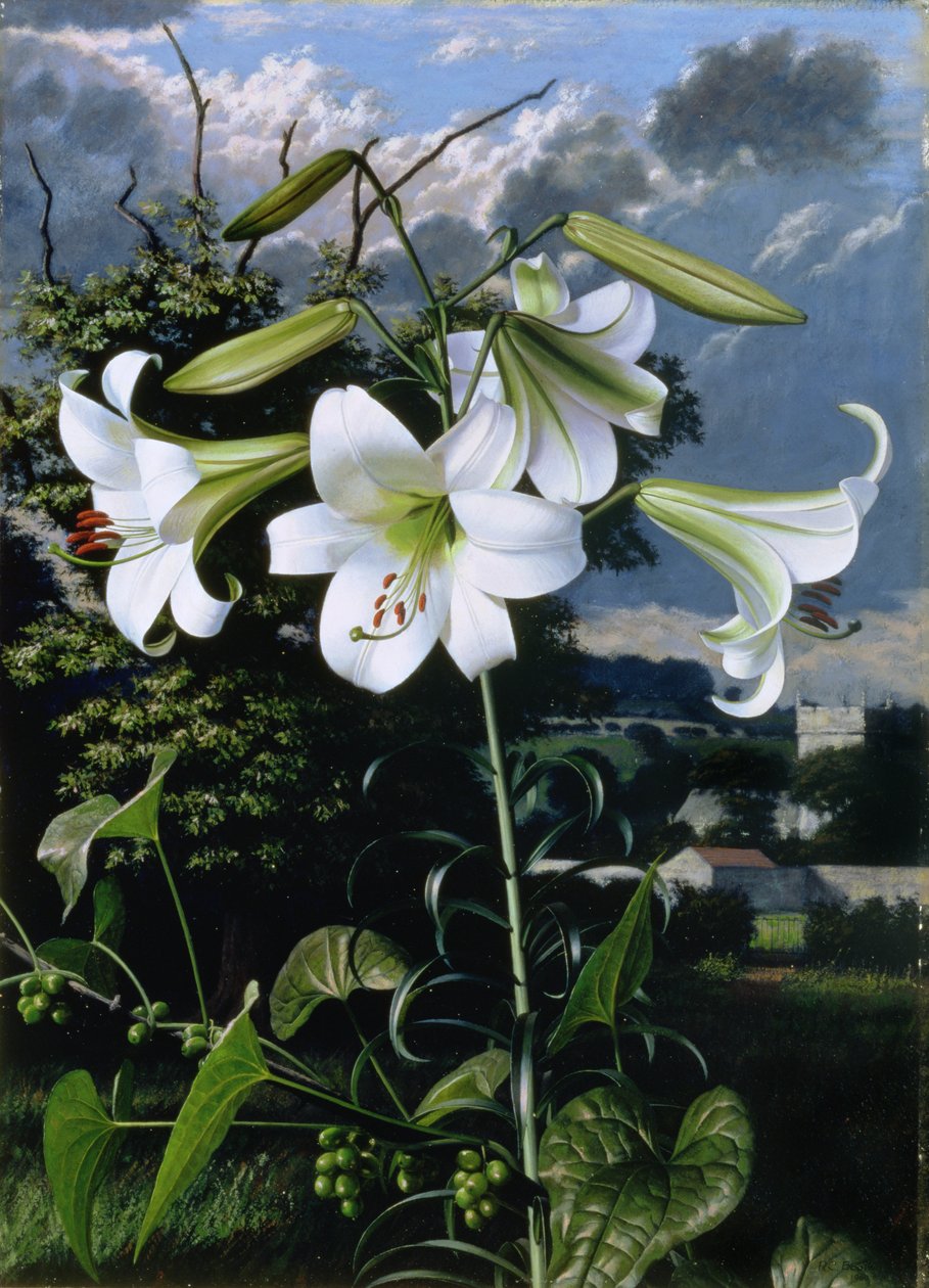  av Raymond Booth