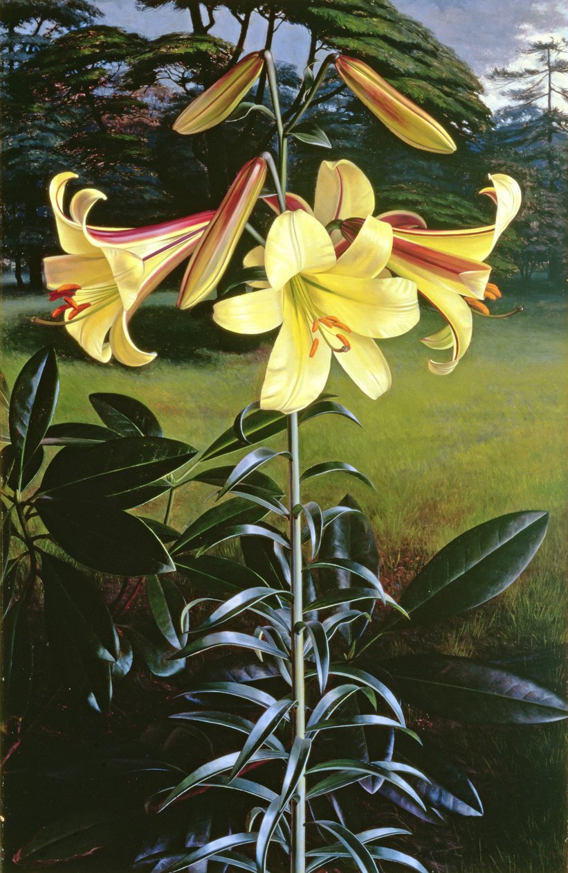 av Raymond Booth