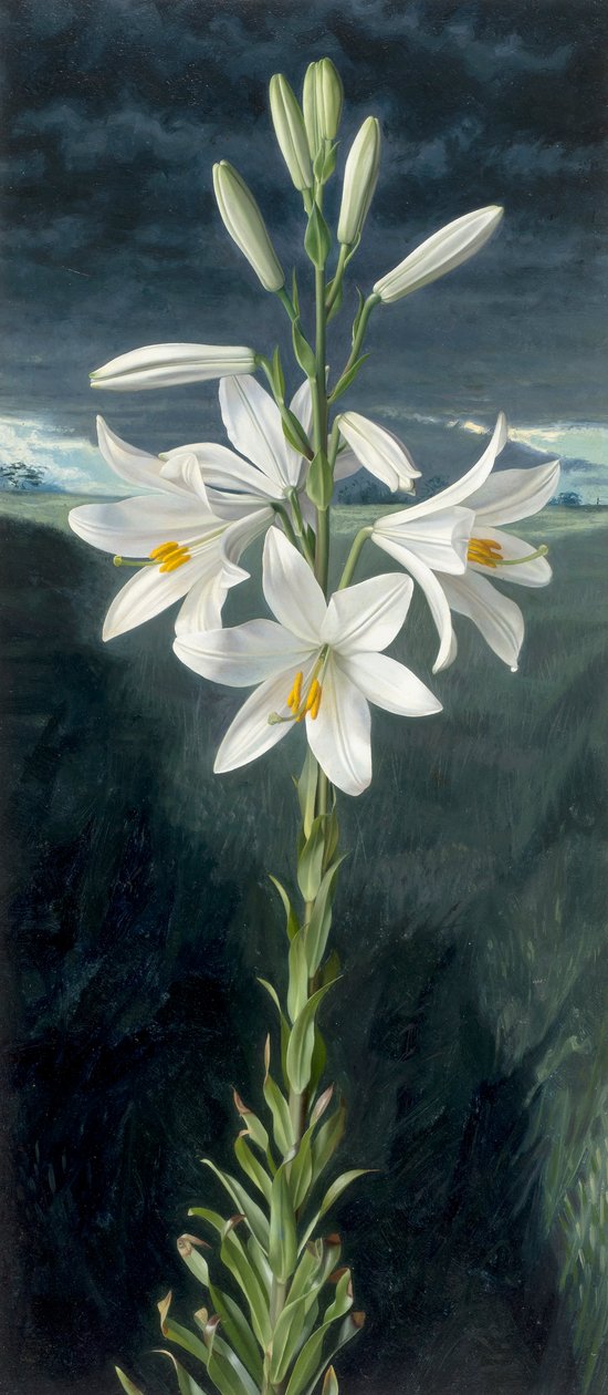  av Raymond Booth