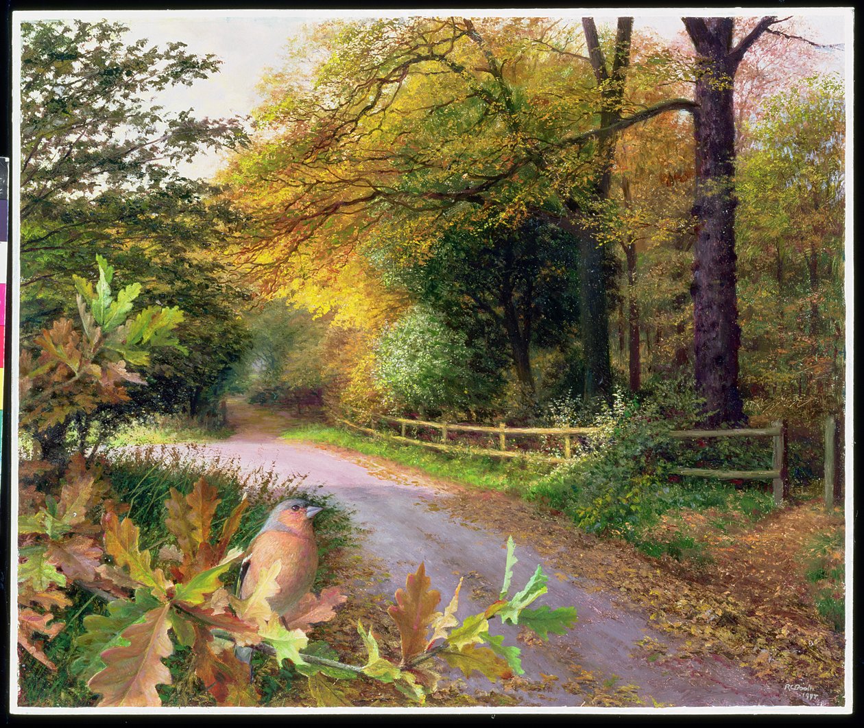  av Raymond Booth