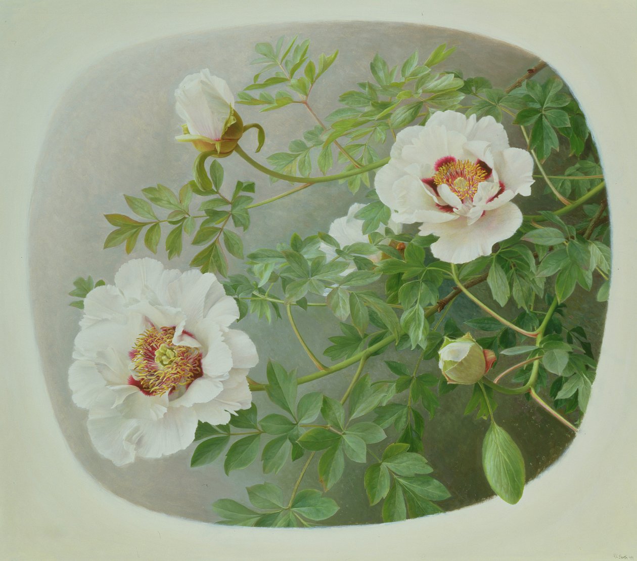  av Raymond Booth