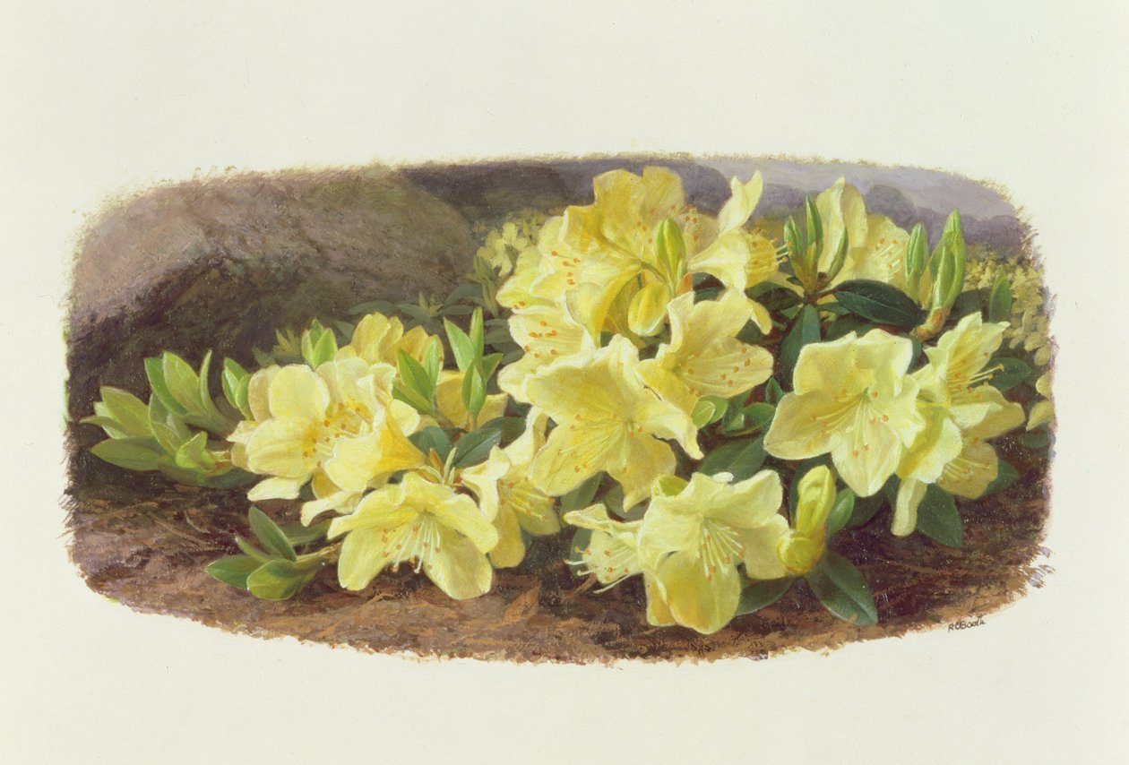  av Raymond Booth