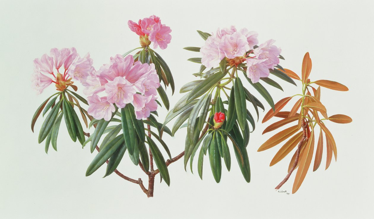  av Raymond Booth