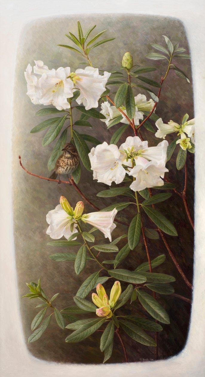  av Raymond Booth