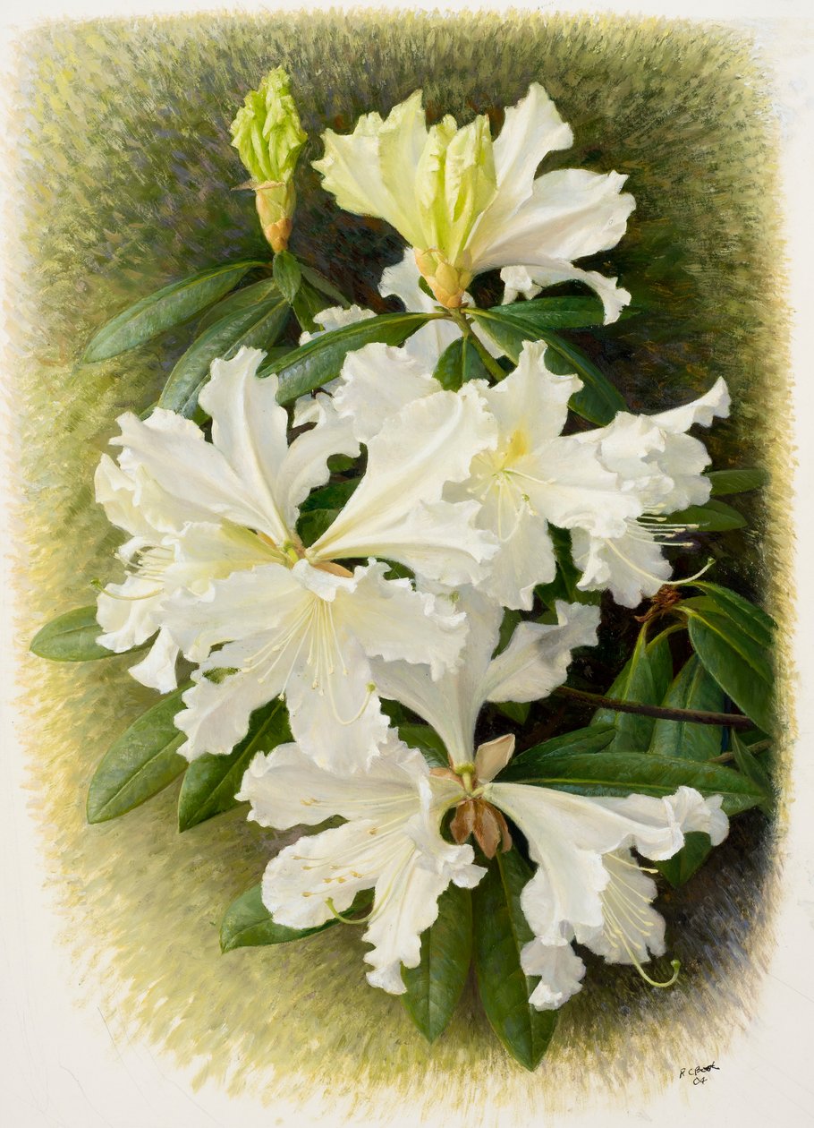  av Raymond Booth