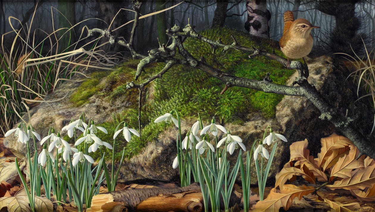  av Raymond Booth