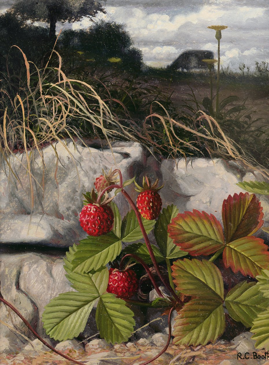  av Raymond Booth