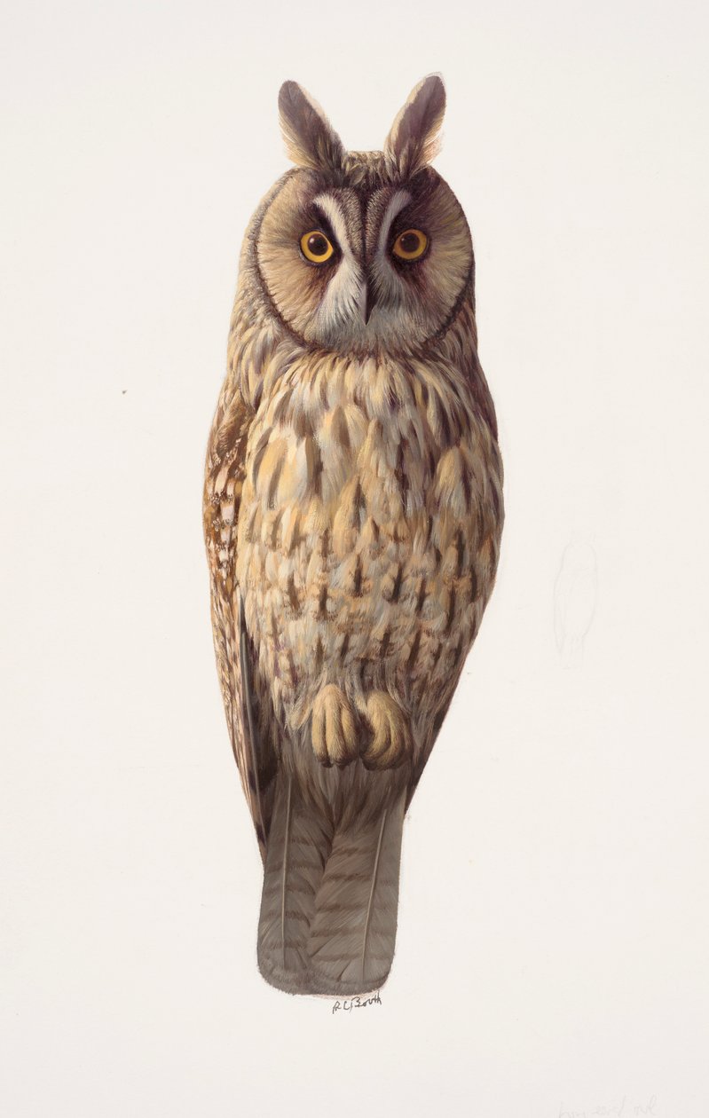  av Raymond Booth
