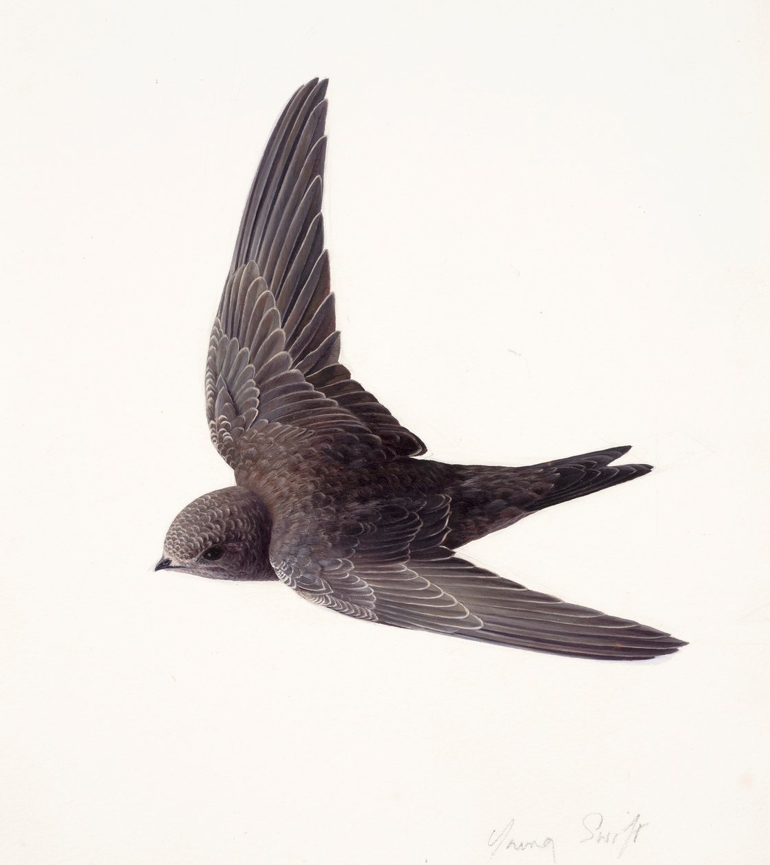  av Raymond Booth