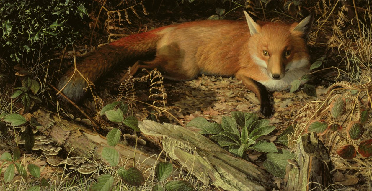  av Raymond Booth