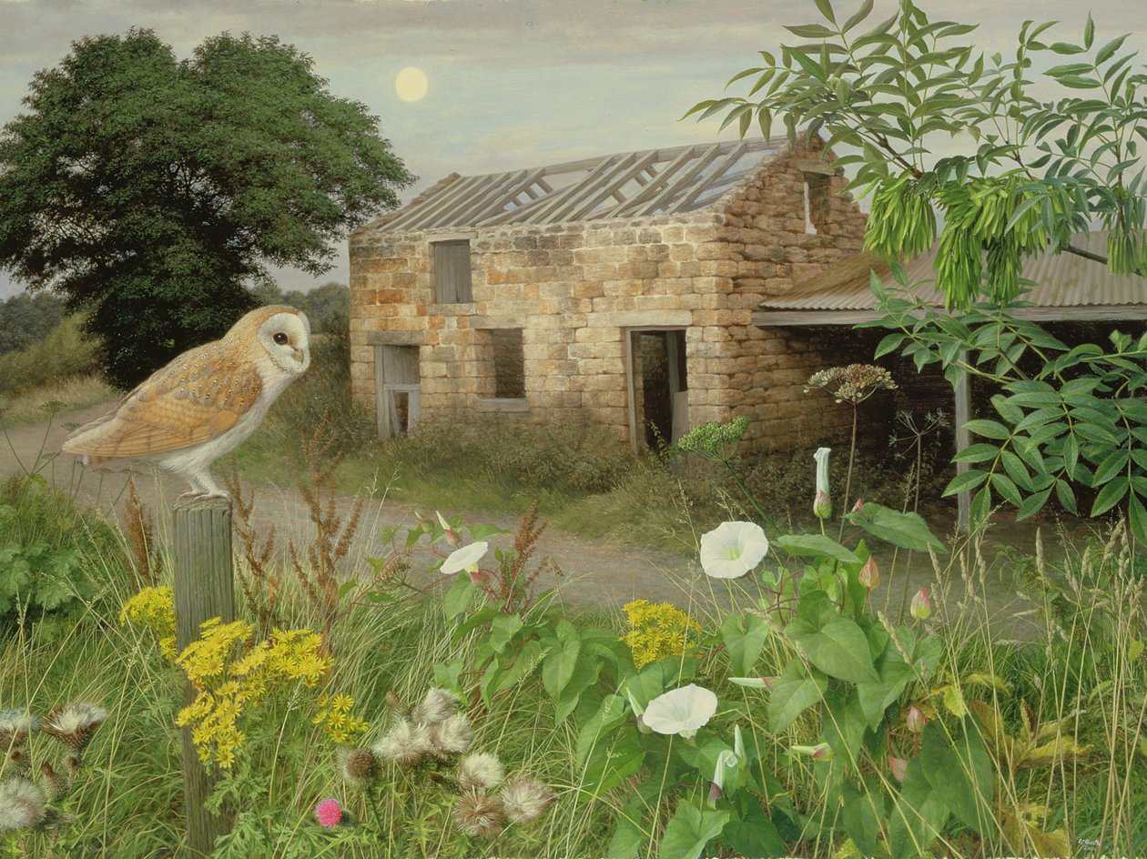  av Raymond Booth