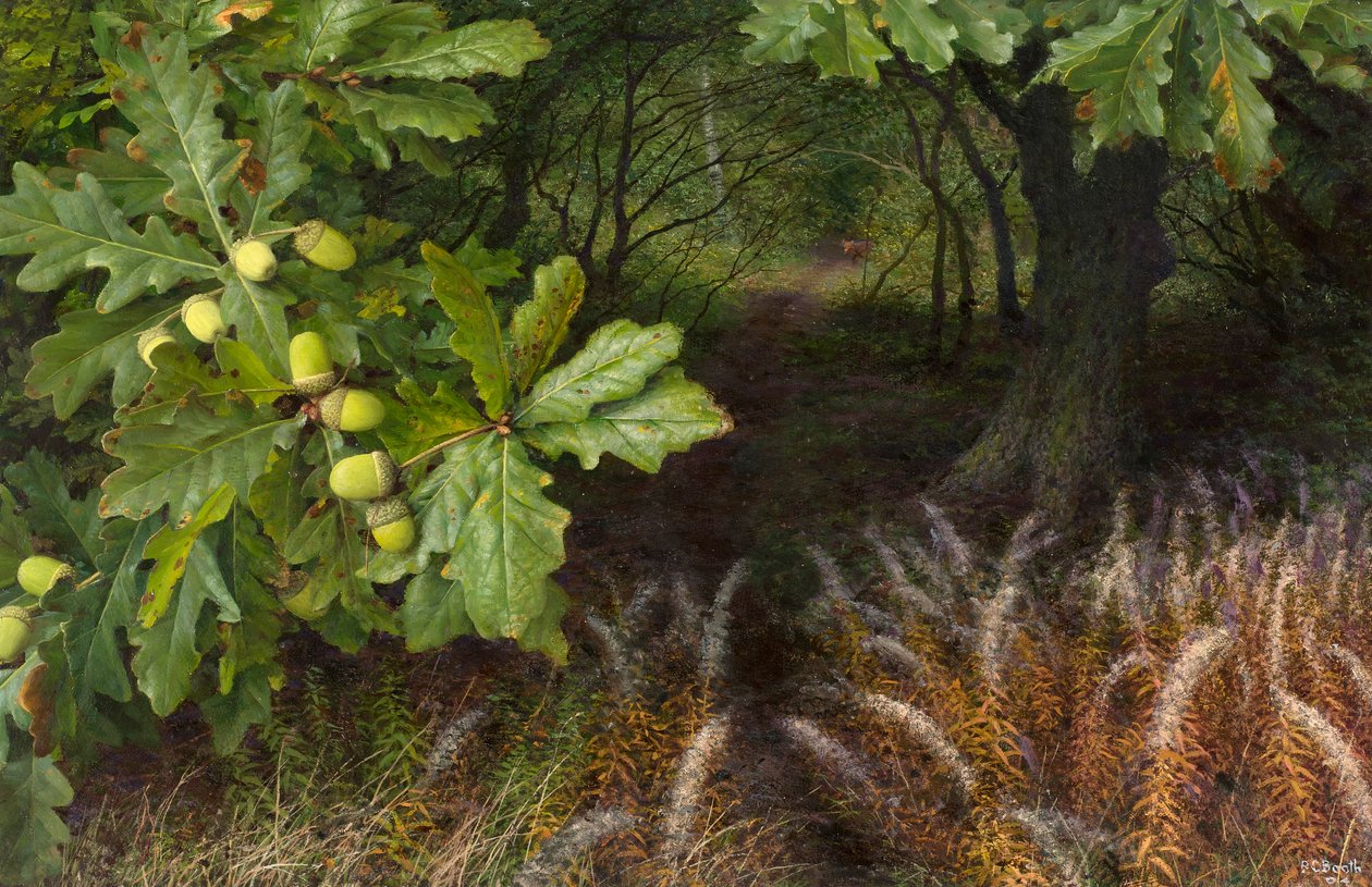  av Raymond Booth