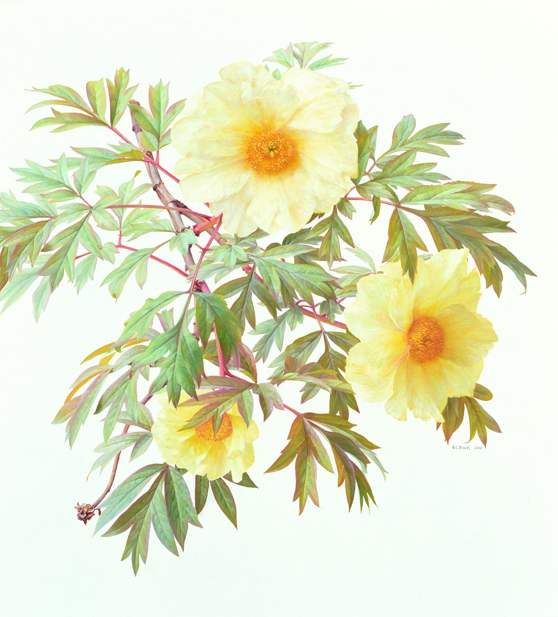 av Raymond Booth