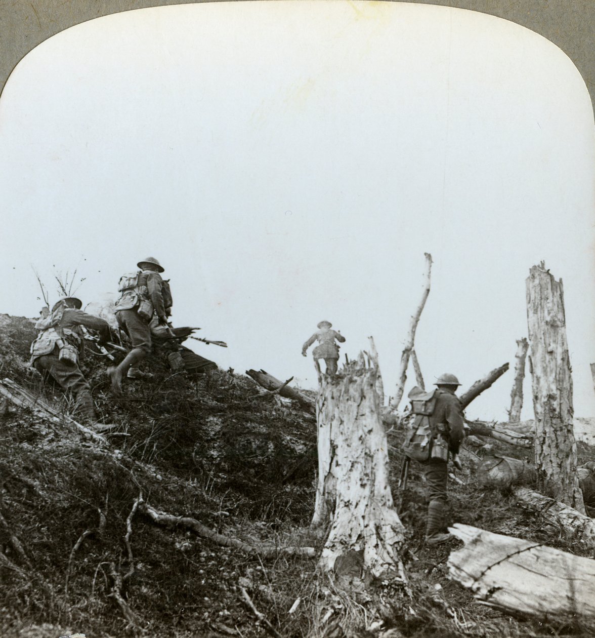 Overgrep i Trones Wood, Somme, Frankrike, første verdenskrig, 1916 av Realistic Travels Publishers