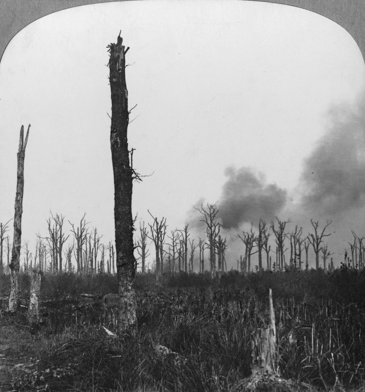 Høyeksplosive granater sprenges i Mametz Wood, Frankrike, første verdenskrig, 1916 av Realistic Travels Publishers