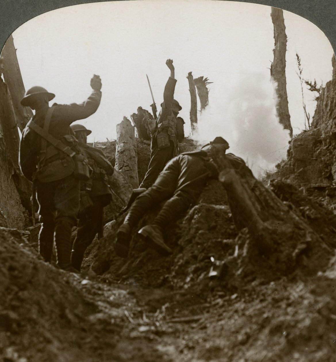 Nordlandstropper bomber en tysk maskingeværstilling, Polygon Wood, 1900-tallet av Realistic Travels Publishers