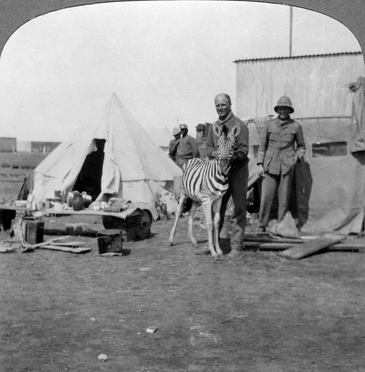 Sørafrikanske skyttere med kjæledyrsebraen deres, Øst-Afrika, første verdenskrig, 1914-1918. av Realistic Travels Publishers