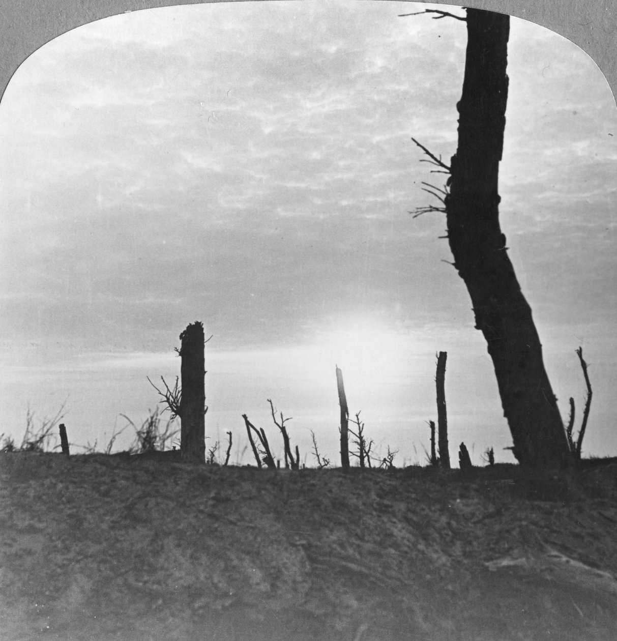 Solen går ned over ingenmannsland på Somme, Frankrike, første verdenskrig, c1914-c1918 av Realistic Travels Publishers