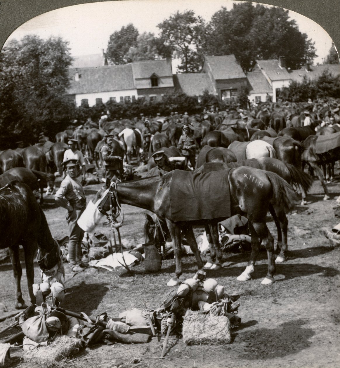 Tropper som mater hestene sine og hviler på marsjen, første verdenskrig, 1914-1918. av Realistic Travels Publishers