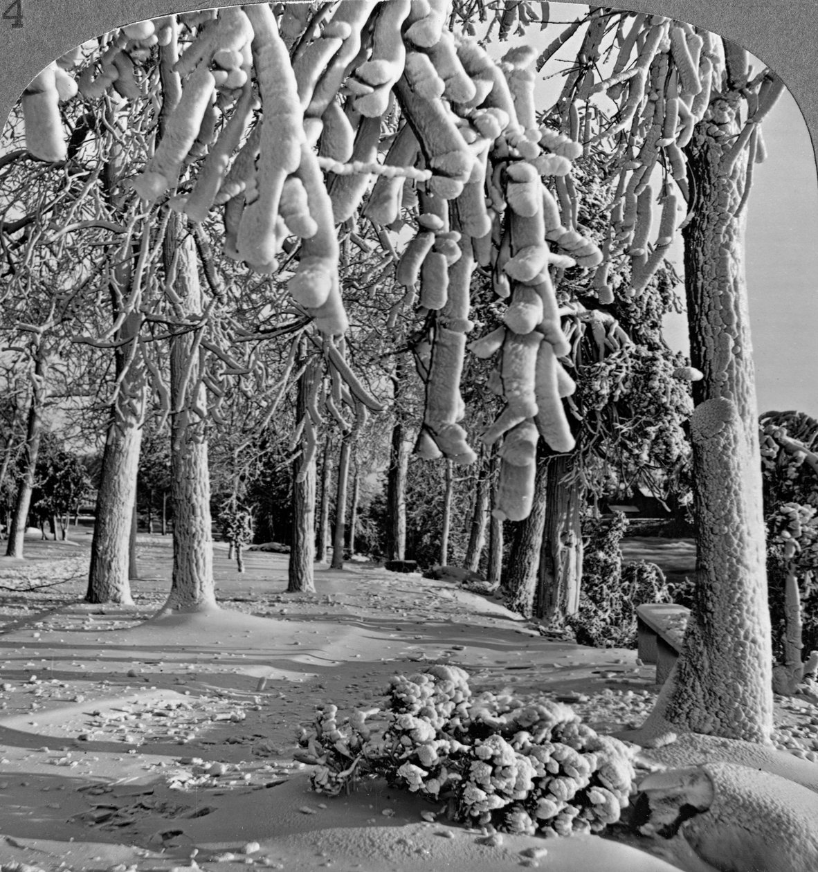 Vinterscene, Goat Island, Niagara Falls, New York, USA. av Realistic Travels Publishers