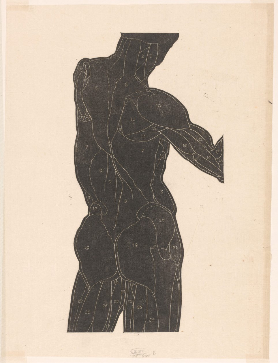 Anatomische studie van de rug- en bilspieren van een man in silhouet   1379097   no       norwegian Successfully Translated  Original: Frontispiece for an edition of Les Ballades by Theodore de Banville Translat: Frontispiece for an edition of Les Ballades av Reijer Stolk