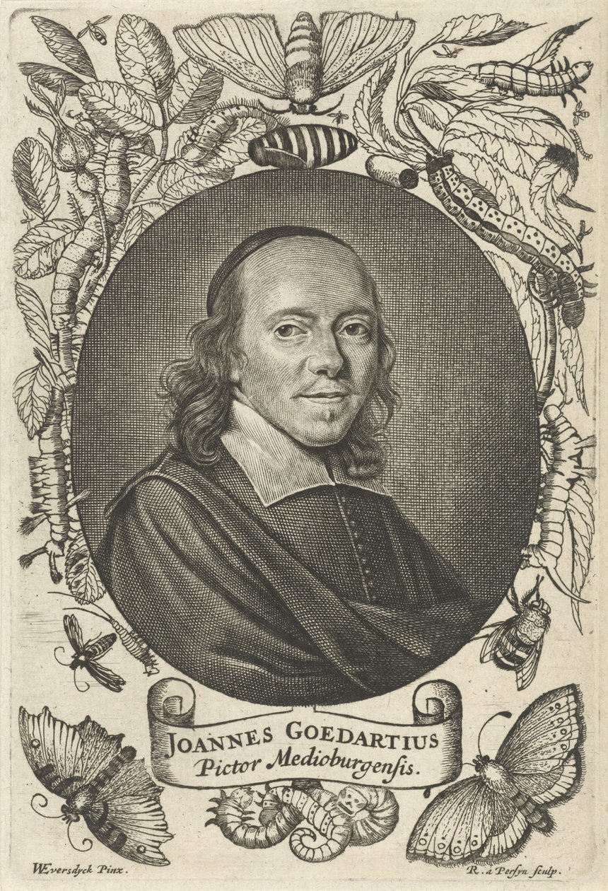 Johannes Goedaert (1617-1668) av Middelburg av Reinier van Persijn
