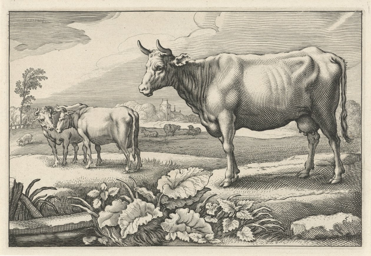 Beite med kyr Diversa Animalia Quadrupedia (serietittel) av Reinier van Persijn