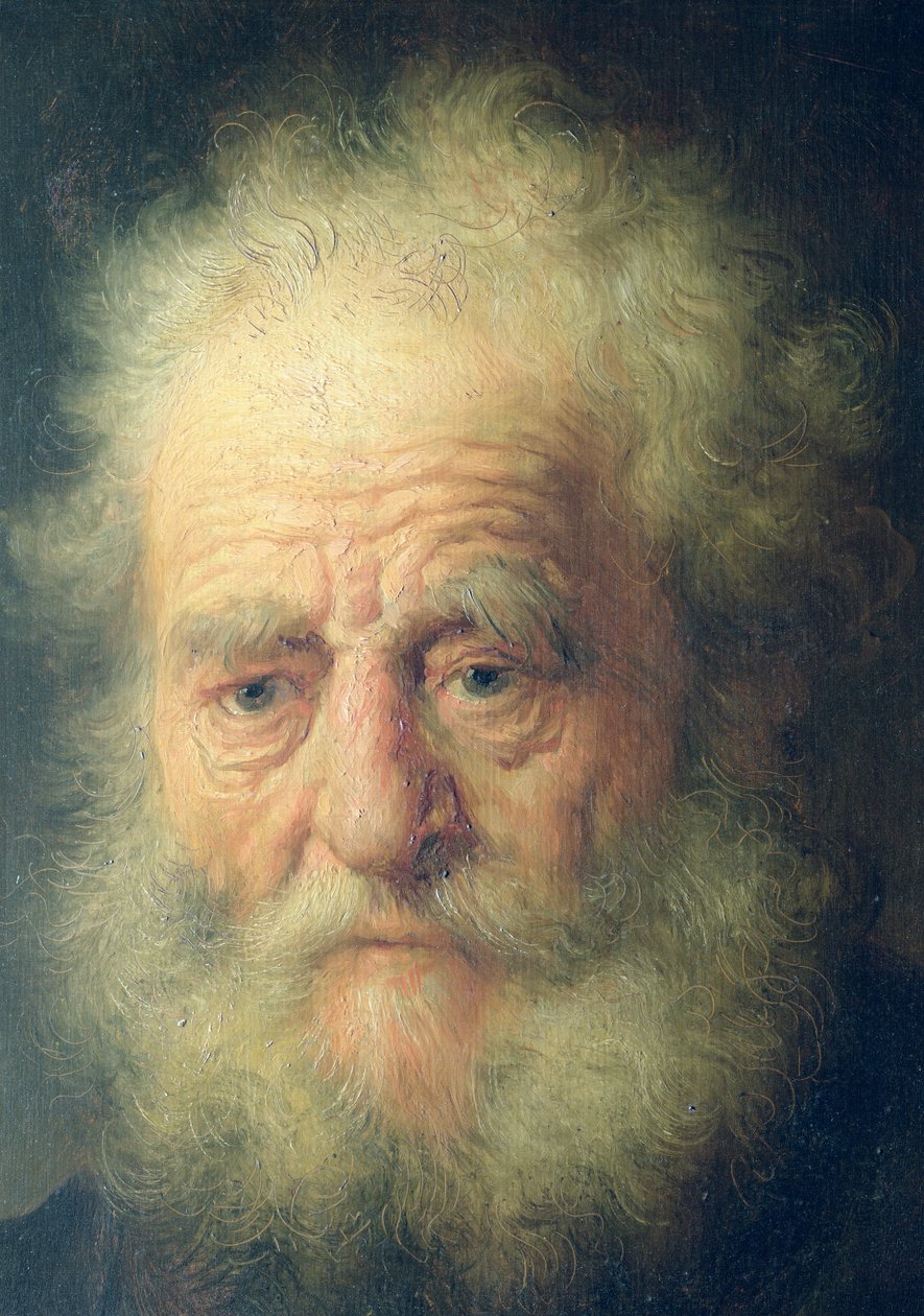 Byste av en gammel mann med en gullkjede (detalj) av Rembrandt van Rijn