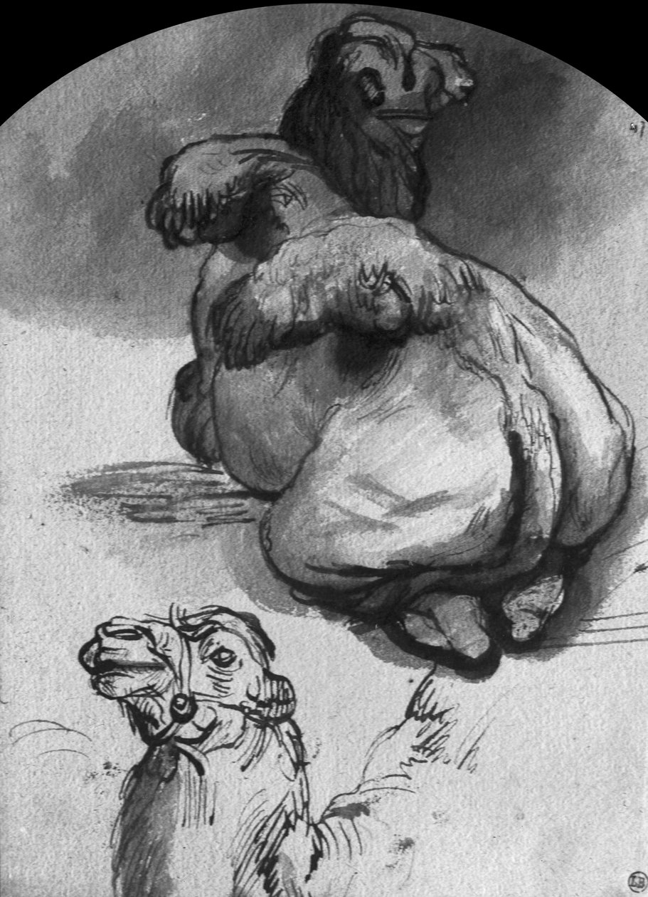 Kameler (penn og blekk og vask på papir) av Rembrandt van Rijn