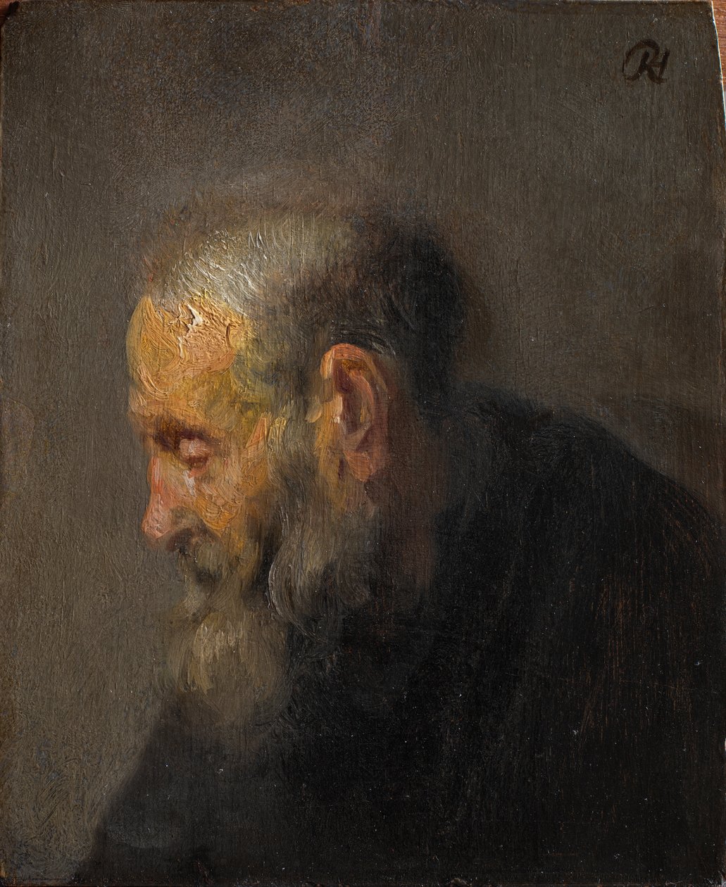 Studie av en gammel mann i profil av Rembrandt van Rijn